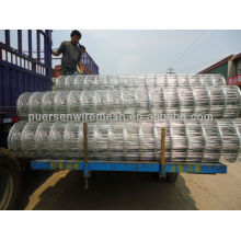 ISO9001:2008 galvanized or PVC coated welded wire mesh fence